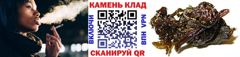 ГАШ Cannabis  Козьмодемьянск 
