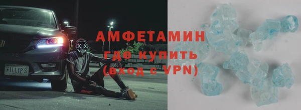 шишки Пересвет