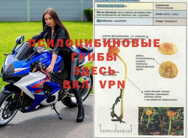 кокаин премиум Арсеньев